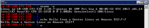 gentoo-ec2-20